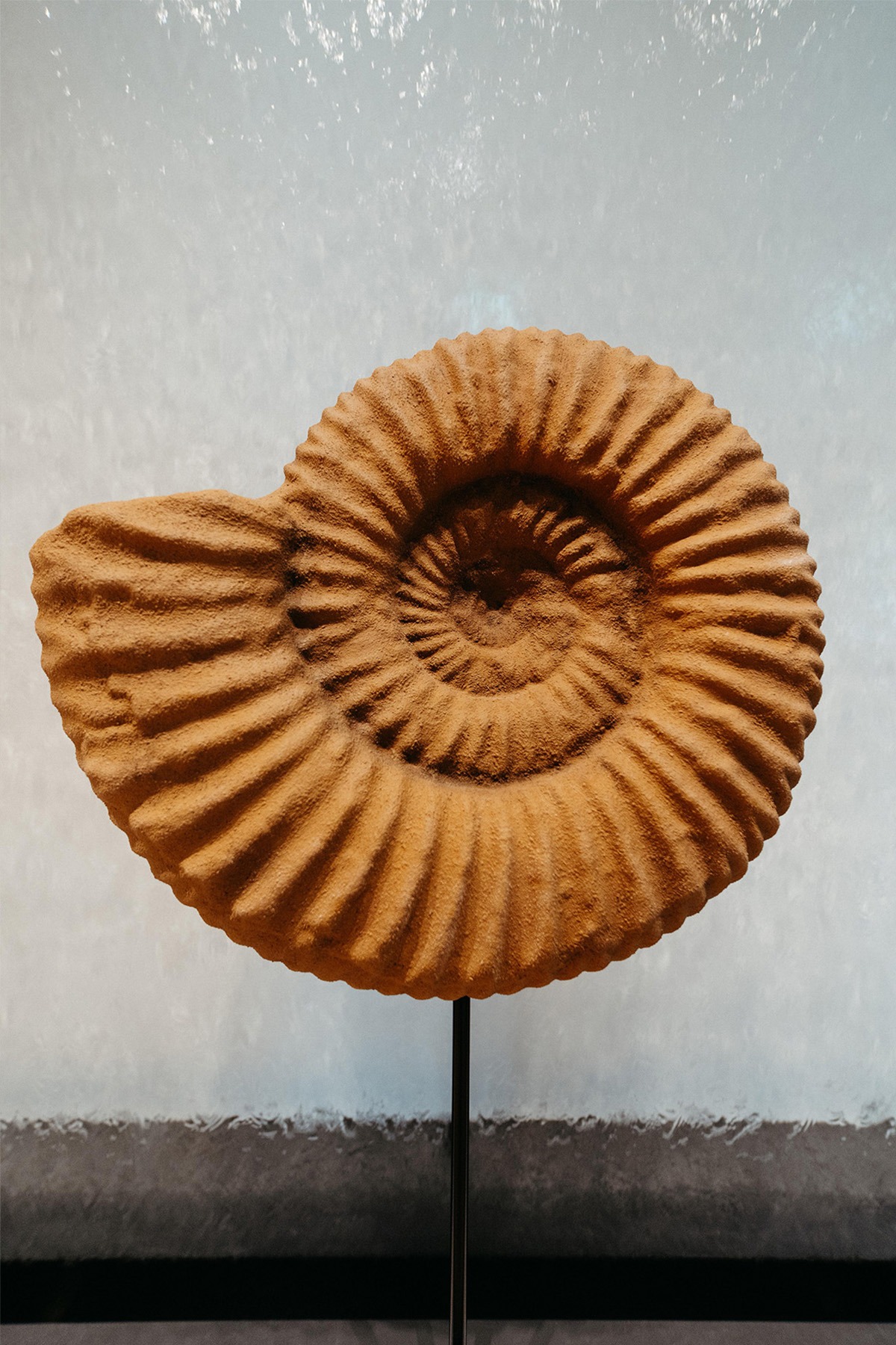 Social Media Betreuung Arztpraxen Ulm